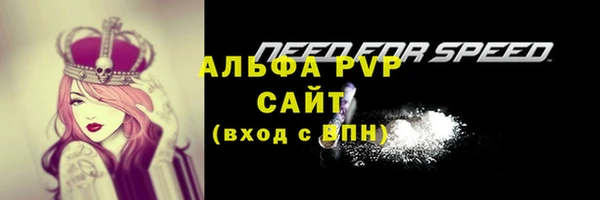 СК Абдулино
