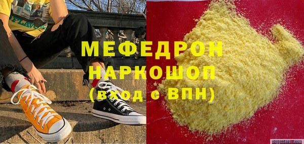 индика Новозыбков