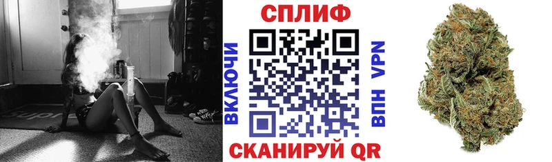 Конопля план  Собинка 